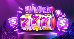 5556bet